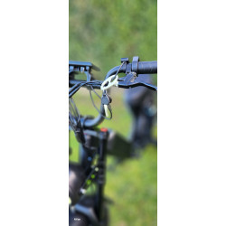 Elektro bicykel - Moped