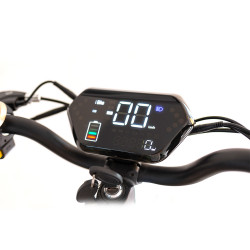 Elektro kolobežka Fasuer YF-013 500W