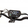 Elektro kolobežka Fasuer YF-013 500W