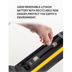 Elektro kolobežka Fasuer YF-013 500W