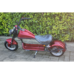 Echopper - Smarda SMD-U1 2000W - s ŠPZ